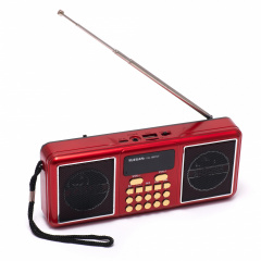 Портативный радиоприёмник аккумуляторный FM радио YUEGAN YG-1881UR c SD-карта, MP3 плеер красный Суми