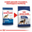 Сухой корм для собак Royal Canin Maxi Adult крупных пород старше 15 месяцев 15 кг (3182550401937/3182550702775) (3007150) Чернигов