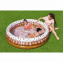 Детский надувной бассейн Bestway 51144 (160x38см) мороженое с фруктами Дніпро