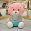 Плед - мягкая игрушка 3 в 1 (Медвежонок Hello розовый) Сумы