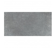 Aquaviva Плитка для бассейна Aquaviva Granito Gray, 298x598x9.2 мм