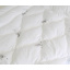 Зимнее одеяло лебяжий пух ViLur Двуспальный 172х205 Микрофибра Белый Кропивницький