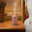 Портативный мини-увлажнитель воздуха Fuliying в форме кошки Розовый (AirMist200LM-P) Тернополь