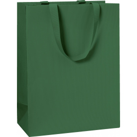 Пакет подарочный Stewo 25 х 13 х 33 cm темно-зеленый 10 шт