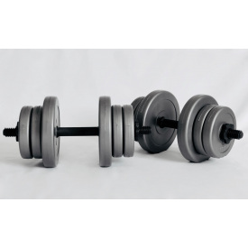 Гантели WCG 2х10кг GREY