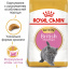 Сухой корм для котят Royal Canin Kitten British Shorthair 2 кг (3182550816533) (2566020) Одеса