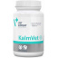 Успокоительный препарат для собак и кошек VetExpert KalmVet 60 капсул (5907752658709) Дніпро