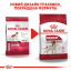 Сухой корм для взрослых собак средних пород Royal Canin Medium Adult старше 12 месяцев 4 кг (3182550708197) (99085) (3004040) Хмельницкий