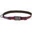 Светоотражающий ошейник для собак Coastal K9 Explorer Collar 2.5 х 46-66 см малиновый (76484369209) Полтава