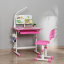 Детская парта со стульчиком FunDesk Bellissima 664х493х540-766 мм Pink Ровно