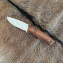 Нож Buck туристический Миколаїв