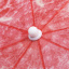 Зонтик садовый Jumi Garden 180 см красный Полтава