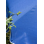 Зонтик садовый Jumi Garden 240 см синий Ужгород
