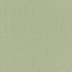 Вінілові шпалери Rasch Poetry на флізеліновій основі Зелений (423938) Львів