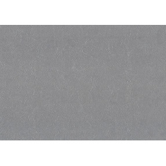 Обои Lanita виниловые на флизелиновой основе ЭШТ Агава 5-1406 серый Скиф (1,06х10,05м.) Київ