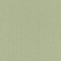 Вінілові шпалери Rasch Poetry на флізеліновій основі Зелений (960716) Київ