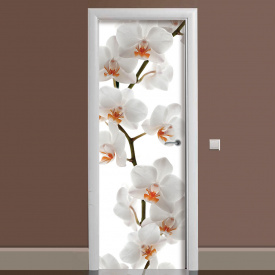 Наклейка на двері Zatarga Гілка Орхідеї 650х2000мм