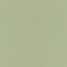 Вінілові шпалери Rasch Poetry на флізеліновій основі Зелений (423938)