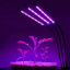 Фитолампа светодиодная для растений Plant GrowLight-3 с таймером черная Ладан
