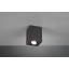 Точечный светильник TRIO BISCUIT (613000132) Херсон