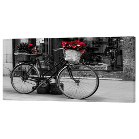 Картина на холсте Декор Карпаты Велосипед 50х100 см (g159)