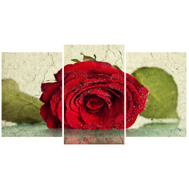 Модульная картина Декор Карпаты 100х53 см Красная роза (M3-t123)