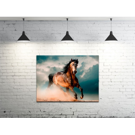 Картина на холсте ProfART S4560-z447 60 x 45 см Лошадь (hub_hXOt79615)