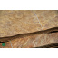 Шпон корень Клен Американский 0,6 мм - Logs Полтава