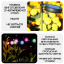 Фонарь светильник Для Сада 1 Ветка 6 Разноцветных Фонариков на Солнечной Батарее с Датчиком Света YIIOT (677) Ровно
