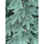 Искусственная елка литая голубая Cruzo Софіївська 2,3м. Херсон