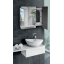 Шкаф зеркальный "Эконом" с двумя дверцами для ванной комнаты Tobi Sho ТS-31 650х600х130 мм Ровно