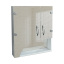 Зеркальный шкаф с фигурными фасадами и открытой полкой для ванной комнаты Tobi Sho ТB6-55 550х600х125 мм Сумы