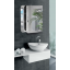 Шкаф зеркальный "Эконом" с открытыми полками для ванной комнаты Tobi Sho ТS-54 550х650х130 мм Чернигов
