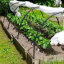 Парник из агроволокна для рассады Shadow 60 г/м² 8 м N Николаев