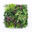 Декоративное зеленое покрытие Engard "Gaya" комплект 3 шт 50х50 см (GCK Set-2) Ужгород