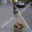 Вазон садовый уличный Фиеста бетонный Галька коричневая Николаев