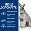 Сухий корм для собак Hill's Prescription Diet Canine I/D Digestive Care Low Fat 12 кг (606430) Чернівці