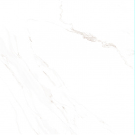 Плитка Stevol Carrara GR матовая 59,5x59,5 см