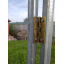 Теплица "Светлица-4" 3х4х2м труба 20х20х1мм с пленкой 150 мкм и зигзаг профилем Киев