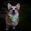 Собачий нашийник LED Light Petsaber Maxi Сумы