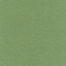 Виниловые обои на флизелиновой основе Rasch Freundin 464092 Зеленый