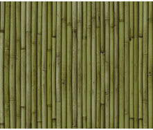 Обои на бумажной основе простые Шарм 177-03 Бамбук зеленые (0,53*10м)