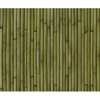 Обои на бумажной основе простые Шарм 177-03 Бамбук зеленые (0,53*10м)