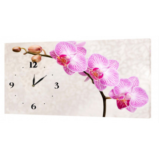 Настінний годинник ProfART на полотні 30 x 53 см Ніжна орхідея (C9_S)