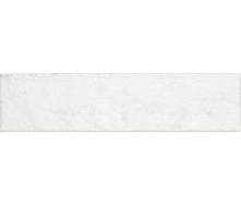 Керамогранитная плитка Ragno Eden Bianco R06H 7х28 см (УТ-00019503)