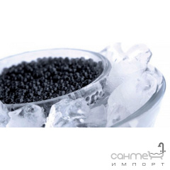 Плитка керамическая декор ABSOLUT KERAMIKA Black Caviar Decor 02 (с черной икрой) Владимир-Волынский