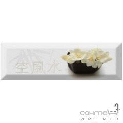 Плитка керамічна декор ABSOLUT KERAMIKA Serie Japan Tea 04 A Сарни