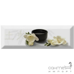 Плитка керамічна декор ABSOLUT KERAMIKA Serie Japan Tea 04 C Київ
