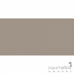 Плитка настінна 20x40 RAKO Color One Beige-grey Поліестер RAL 0607010 WAAMB302 Тернопіль