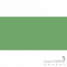 Плитка настенная 20x40 RAKO Color One Green Матовая RAL 1306050 WAAMB466